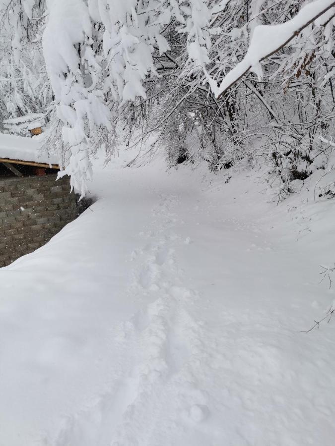 イヴァニツァ Vikendica Jagodicaヴィラ エクステリア 写真