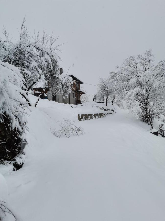 イヴァニツァ Vikendica Jagodicaヴィラ エクステリア 写真